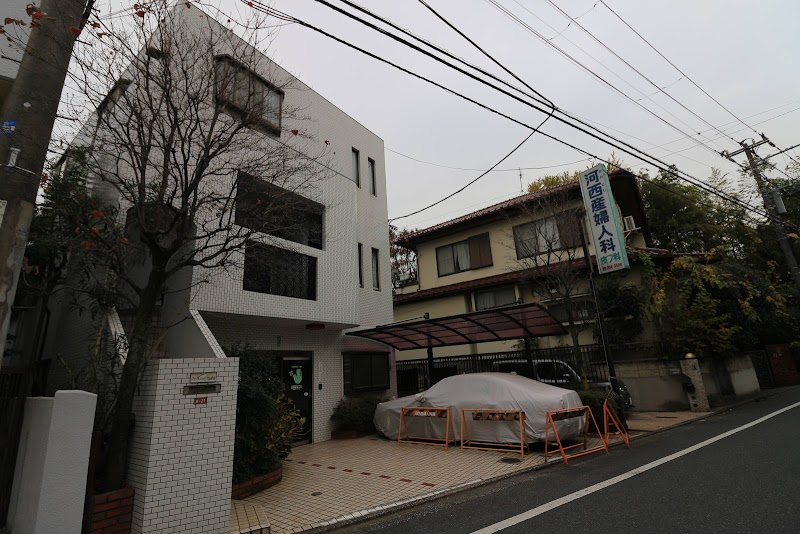 河西産婦人科皮膚科医院の写真 1