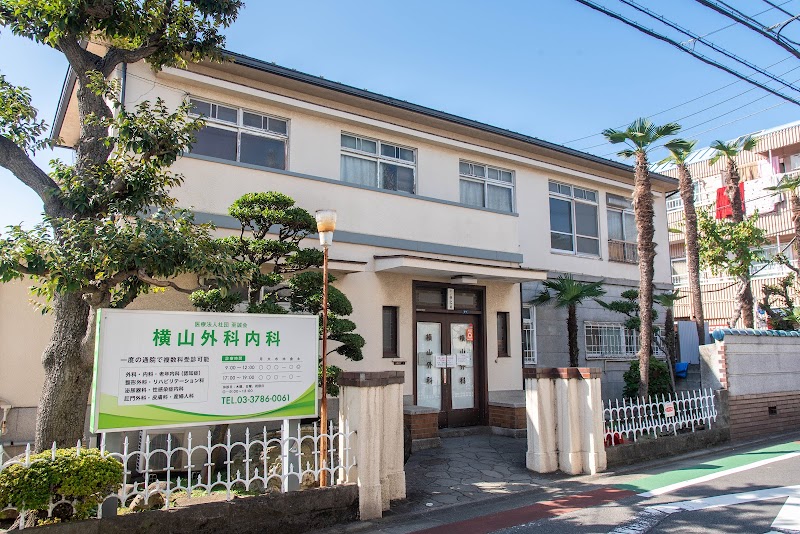 医療法人社団至誠会 横山外科内科の写真 1