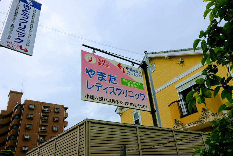 医療法人英晃会 やまだレディスクリニックの写真 1