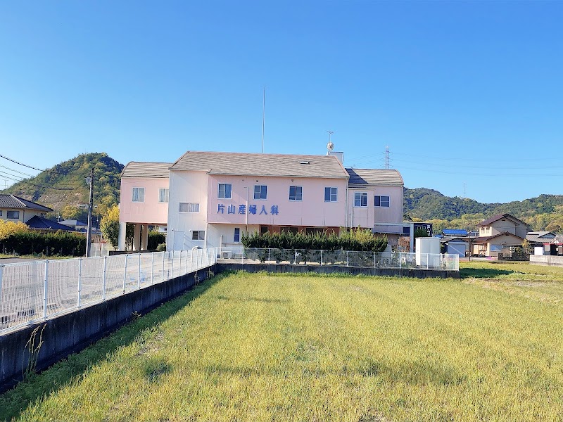 医療法人片山産婦人科の写真 1