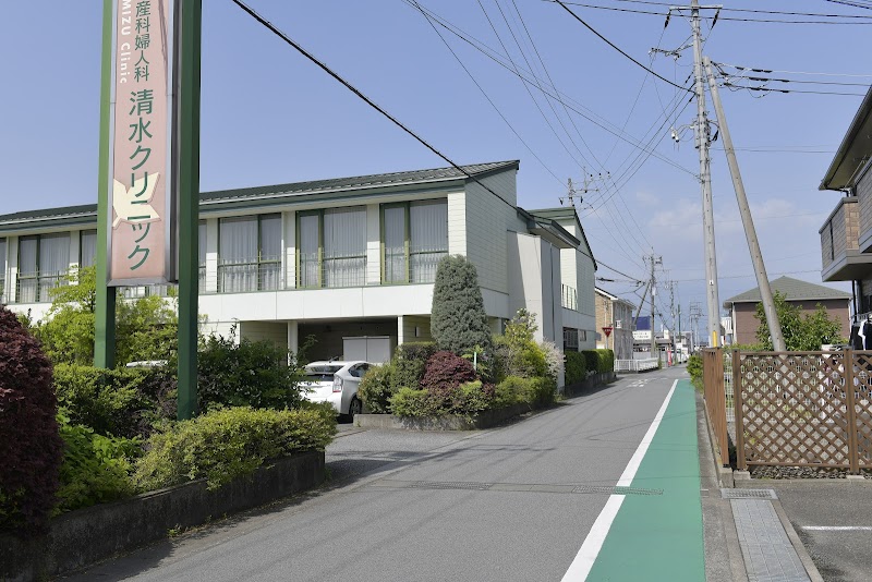 医療法人社団恒澄会 産科婦人科清水クリニックの写真 1