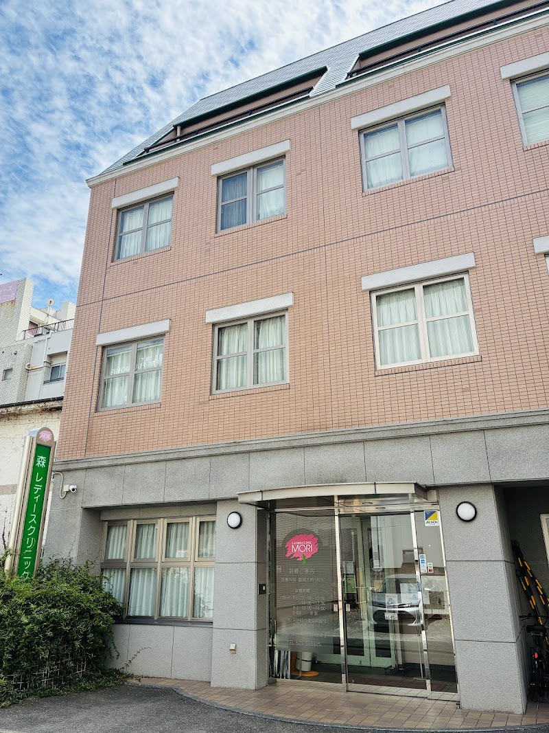 森レディースクリニックの写真