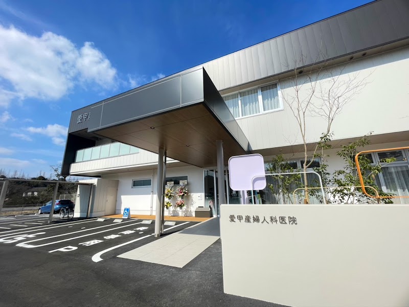 愛甲産婦人科医院の写真 1