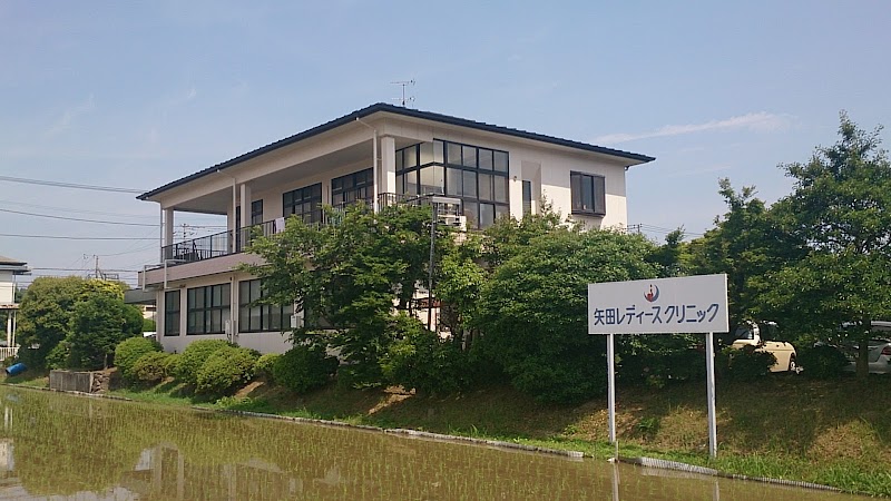 矢田レディースクリニックの写真 1