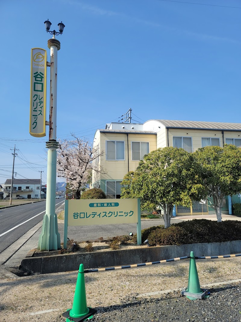 医療法人谷口レデイスクリニックの写真 1