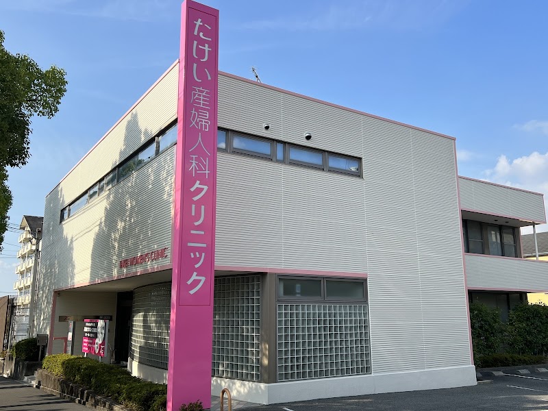 たけい産婦人科クリニックの写真 1