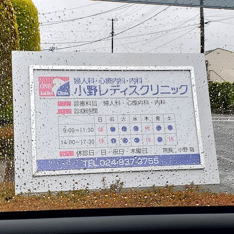 小野レディスクリニックの写真 1