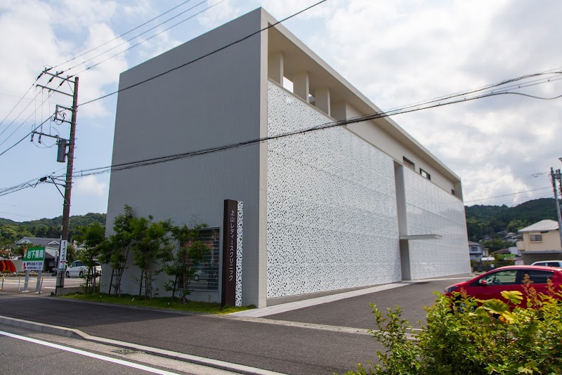 上山レディースクリニックの写真 1
