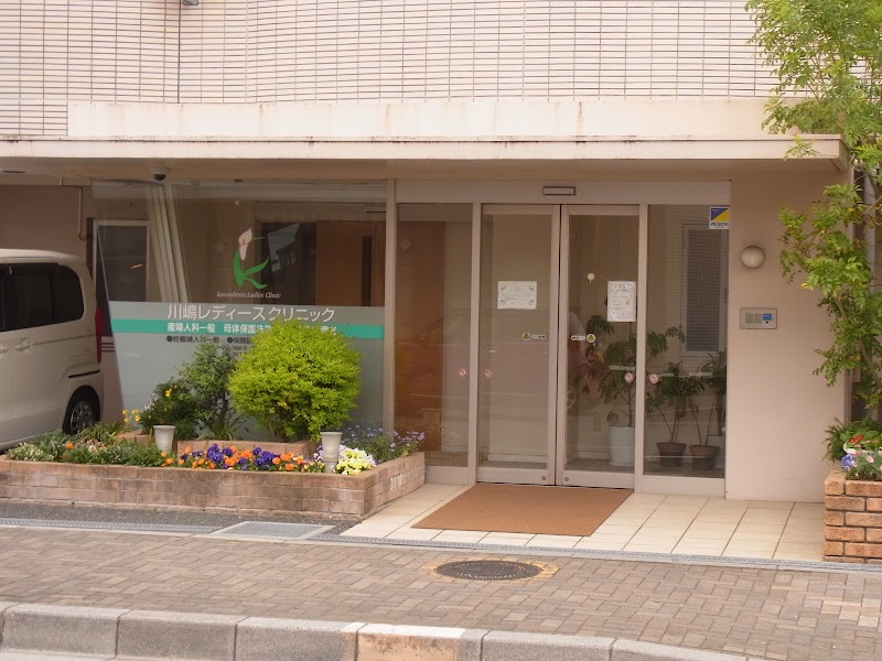 川嶋レディースクリニックの写真