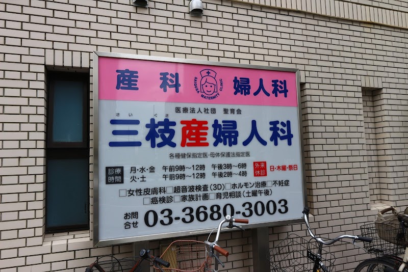 医療法人社団聖育会 三枝産婦人科医院の写真 1