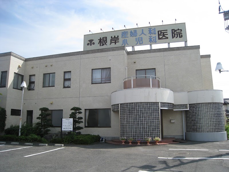 根岸産婦人科小児科医院の写真