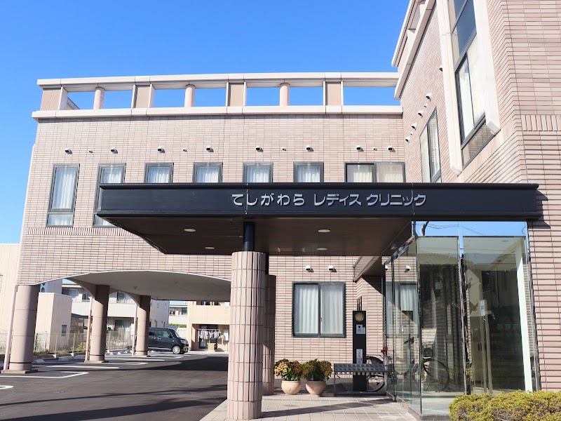 てしがわらレディスクリニックの写真 1
