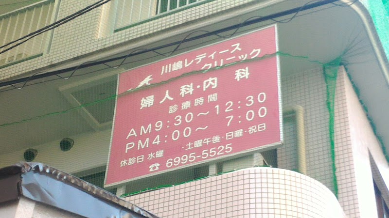 川嶋レディースクリニックの写真 1