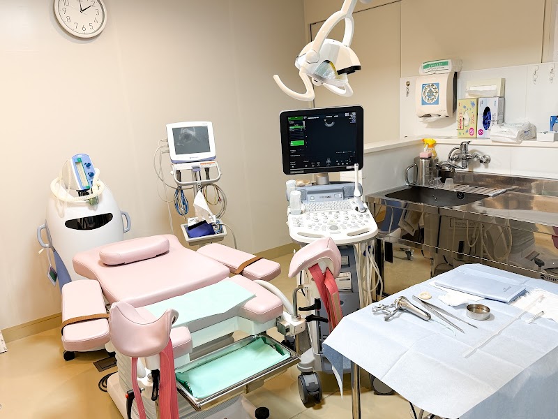 東京衛生アドベンチスト病院附属めぐみクリニックの写真