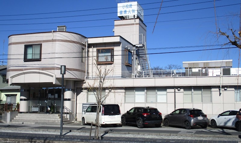 医療法人社団 正和会 小松崎産婦人科の写真 1